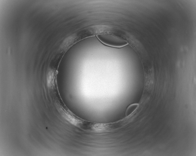 X0000078840142200611131158