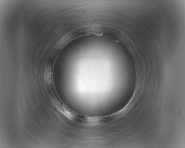 X0000078840144200611131158