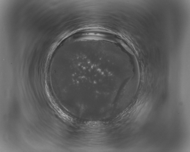 X0000078840145200611131157