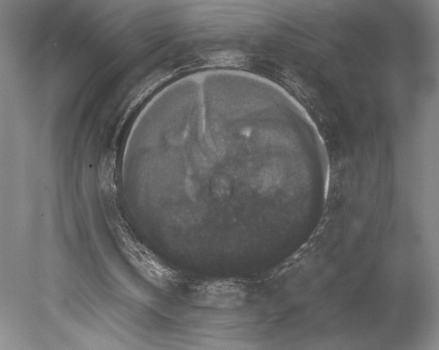 X0000078840146200611131157