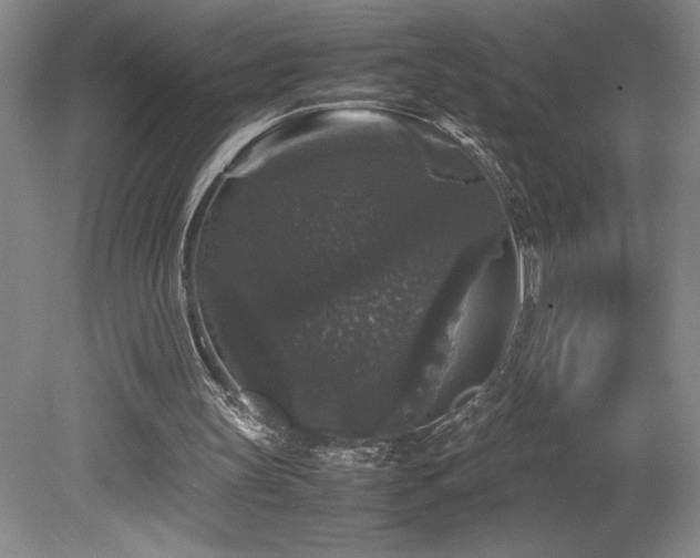 X0000078840147200611131157