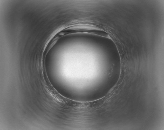 X0000078840148200611131157