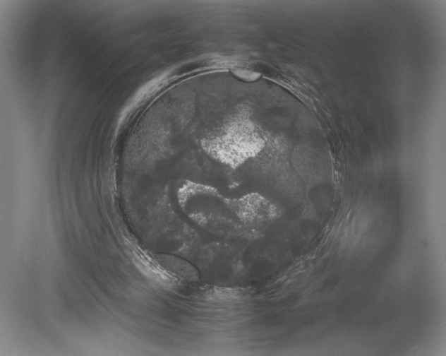 X0000078840149200611131157