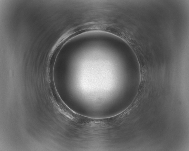 X0000078840150200611131157