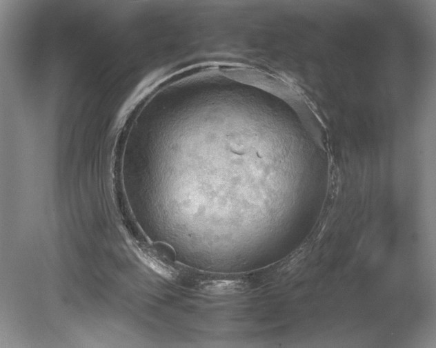 X0000078840151200611131157