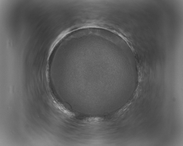 X0000078840152200611131157