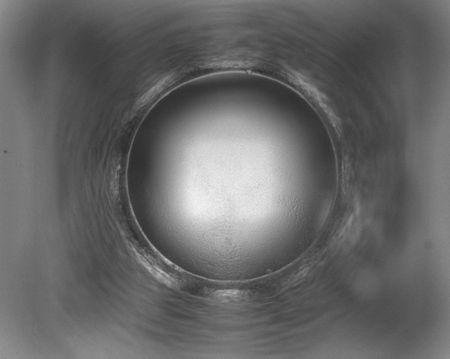 X0000078840153200611131157