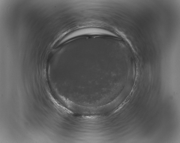 X0000078840154200611131158