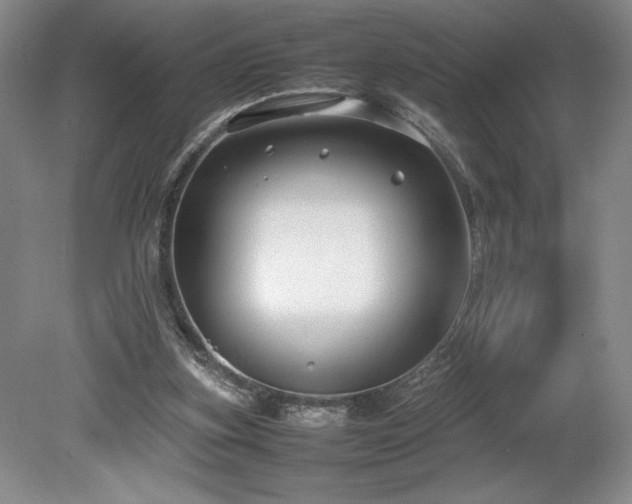 X0000078840155200611131158