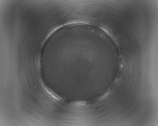 X0000078840156200611131158