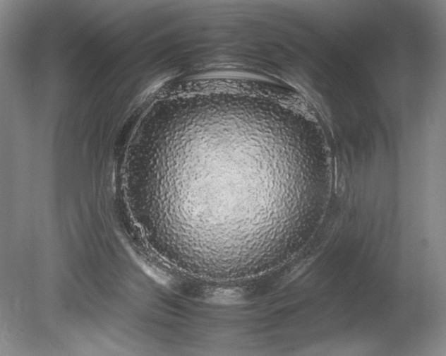 X0000078840157200611131158