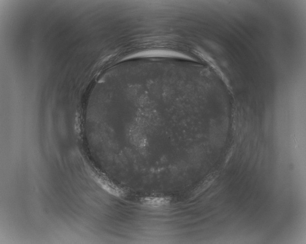 X0000078840161200611131158