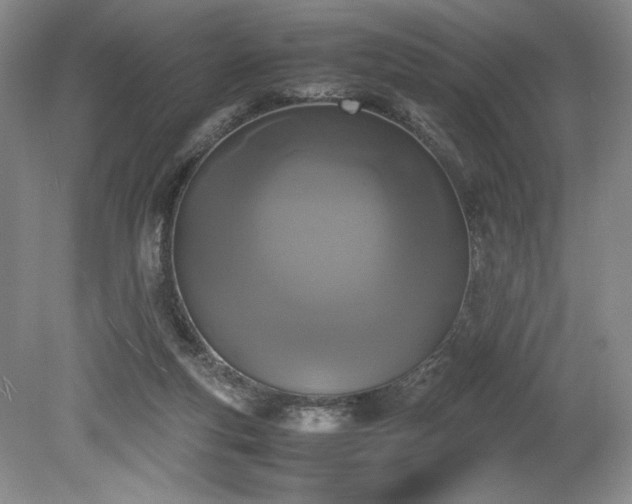 X0000078840163200611131158