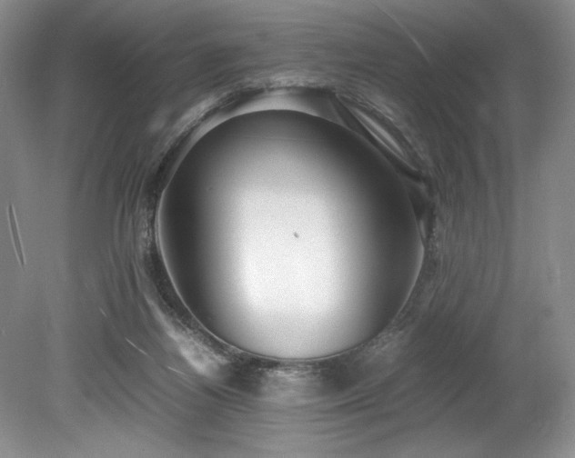 X0000078840164200611131158