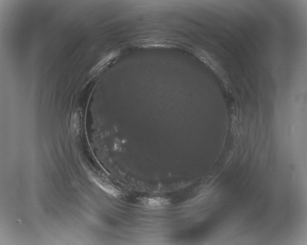 X0000078840165200611131158