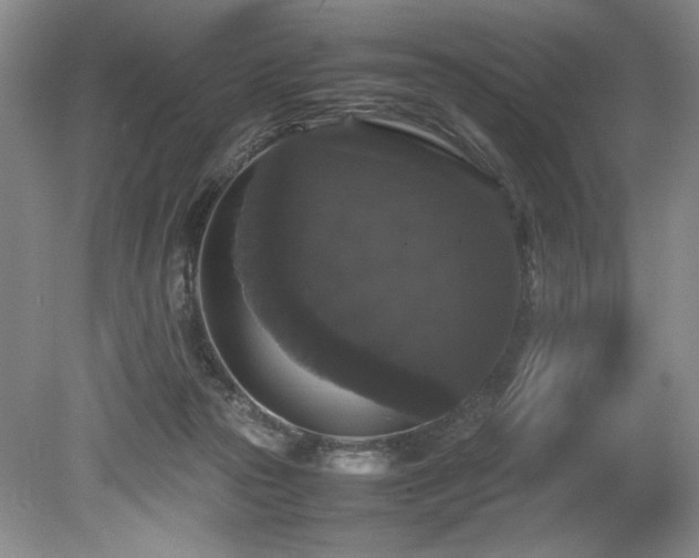 X0000078840169200611131158