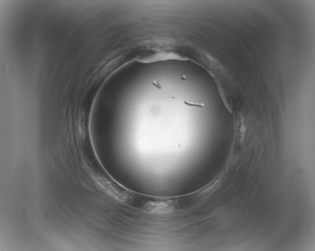 X0000078840170200611131158