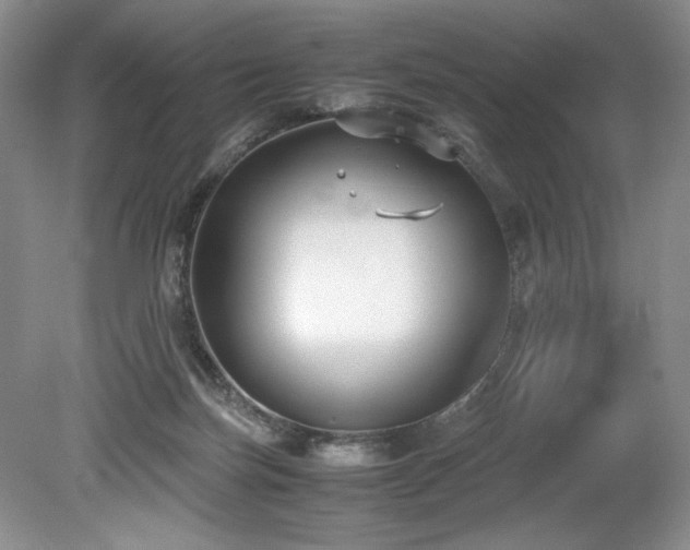 X0000078840171200611131158