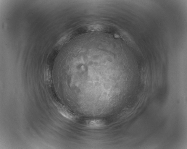 X0000078840173200611131158