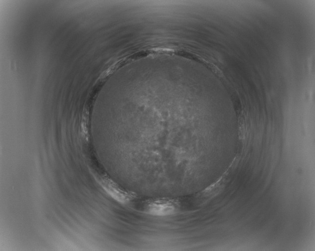 X0000078840175200611131158