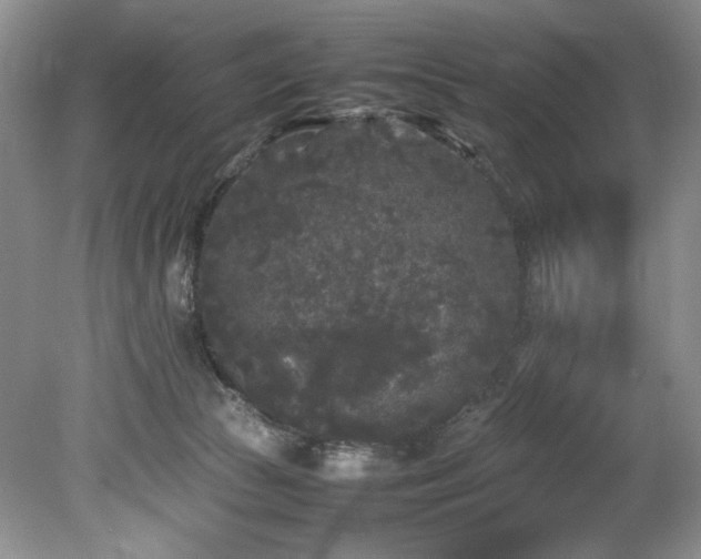 X0000078840177200611131158