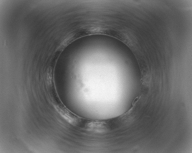 X0000078840179200611131158