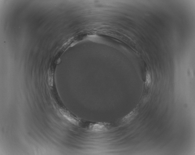 X0000078840180200611131158