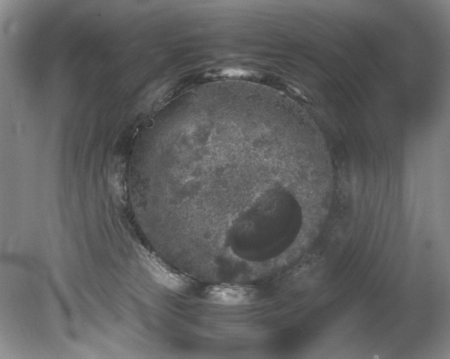 X0000078840181200611131158