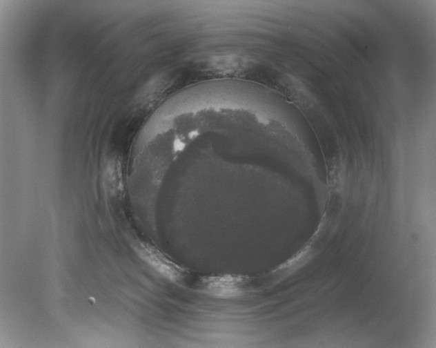 X0000078840182200611131158