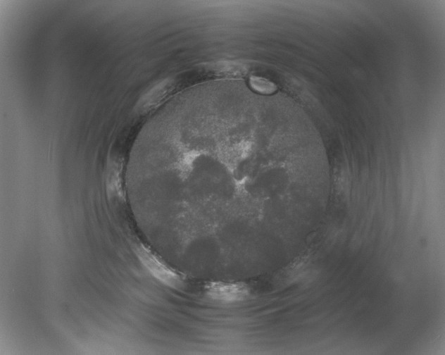 X0000078840185200611131158