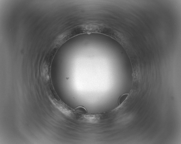 X0000078840187200611131158