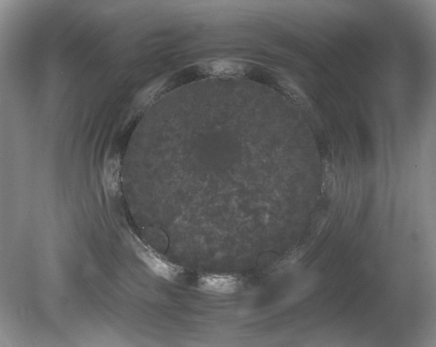 X0000078840189200611131158