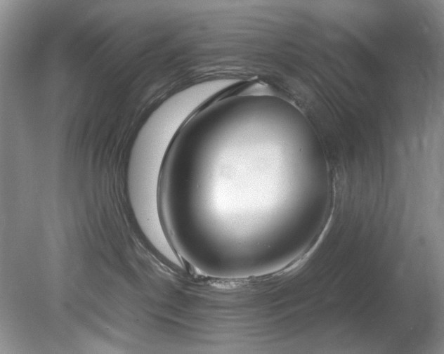 X0000078840190200611131158