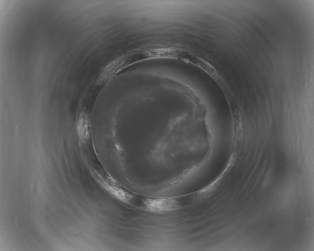 X0000078840191200611131158