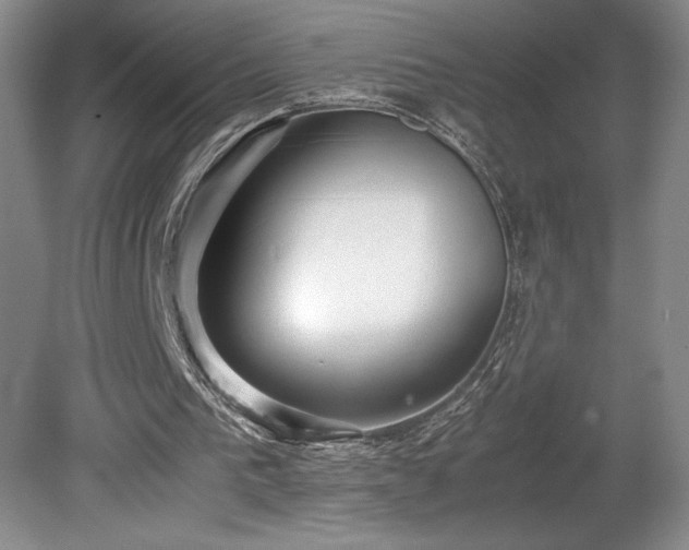 X0000078840193200611131157