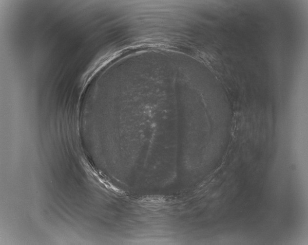 X0000078840194200611131157