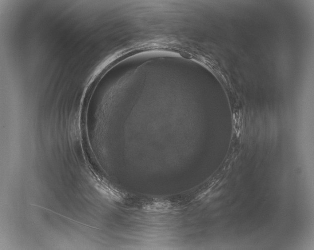 X0000078840196200611131157