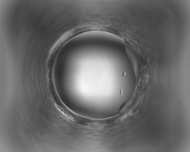 X0000078840197200611131157