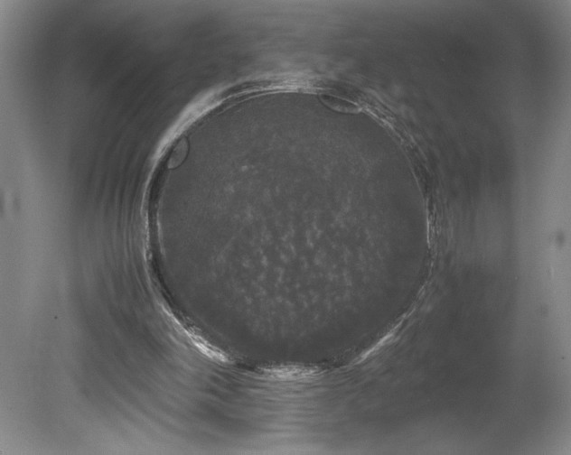 X0000078840198200611131157