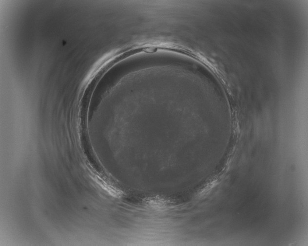 X0000078840199200611131157