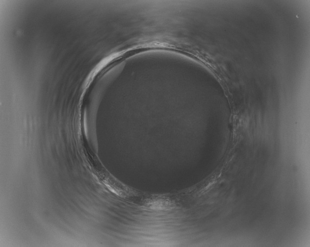 X0000078840200200611131157