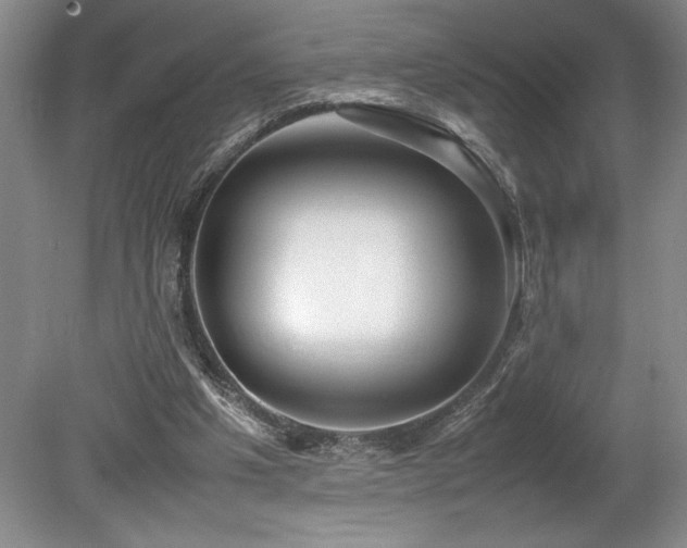 X0000078840201200611131157