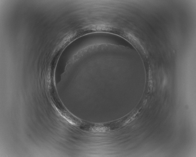 X0000078840202200611131157