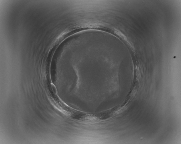 X0000078840203200611131157