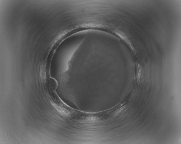 X0000078840204200611131157