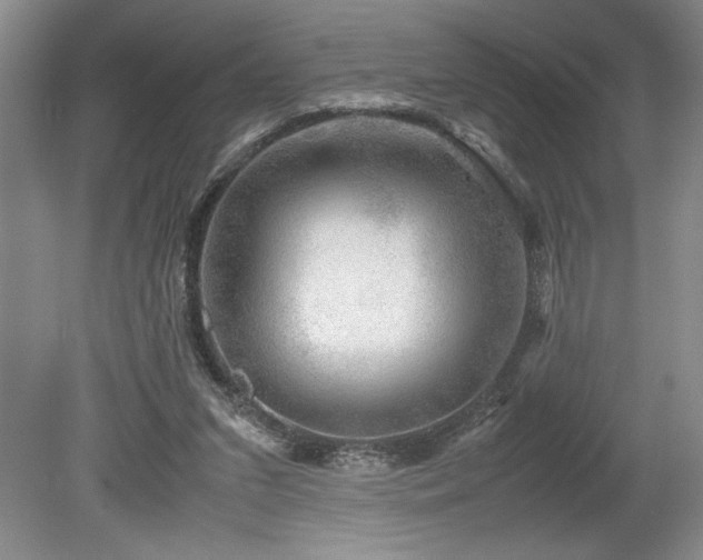 X0000078840207200611131157