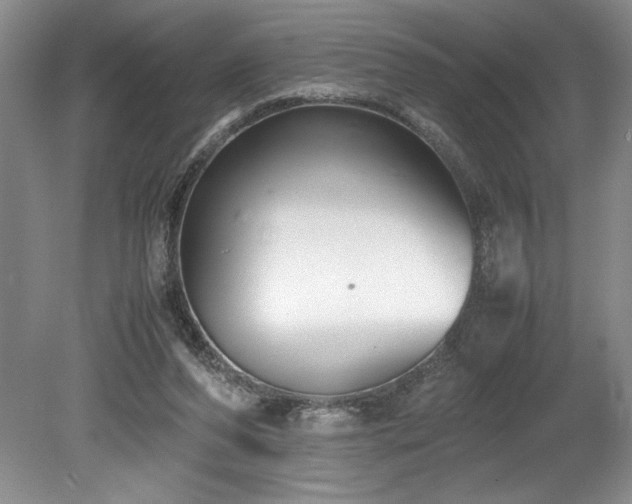 X0000078840208200611131157