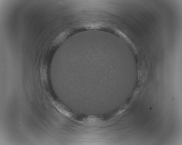 X0000078840209200611131157