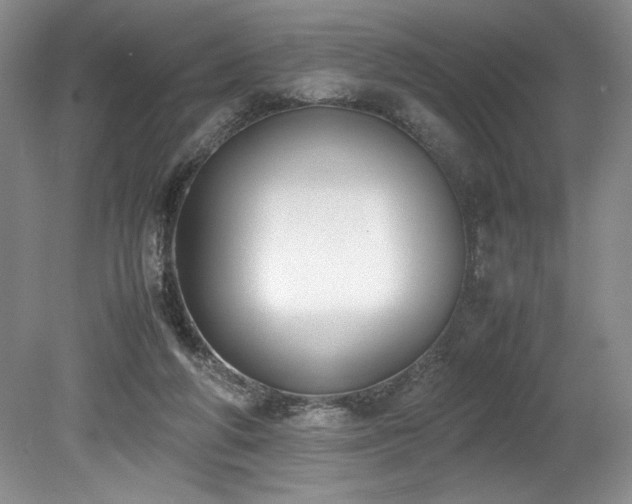 X0000078840210200611131157