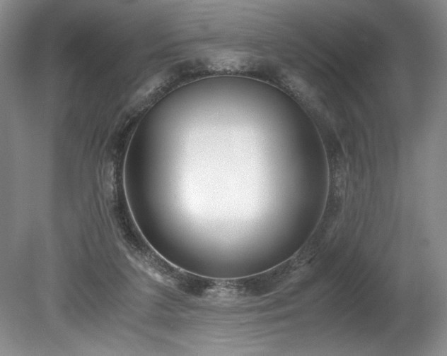 X0000078840211200611131157